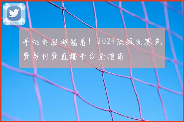 手机电脑都能看!2024欧冠决赛免费与付费直播平台全指南