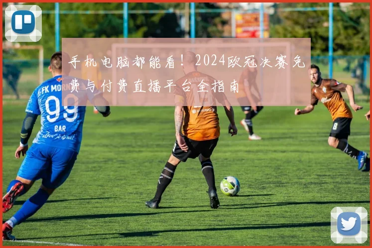 手机电脑都能看！2024欧冠决赛免费与付费直播平台全指南
